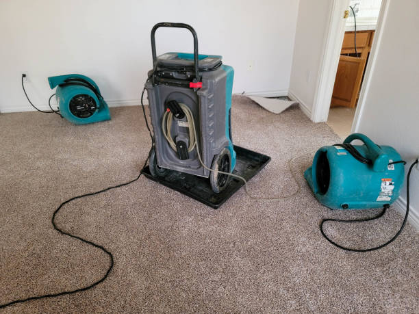 Best Flooded house restoration  in Wellsville, MO