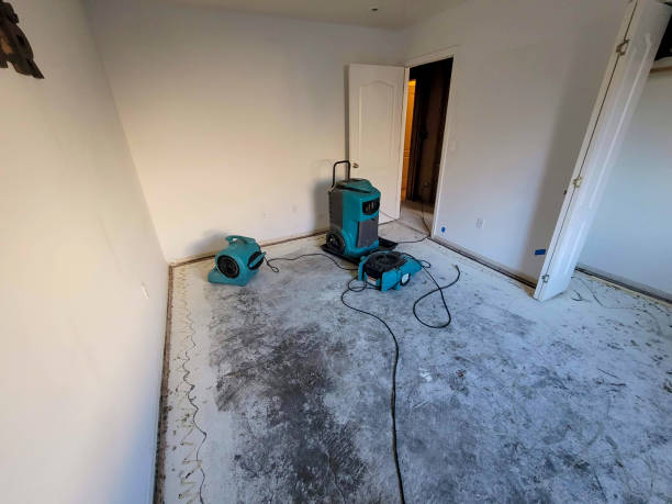 Best Sewage cleanup and water damage restoration  in Wellsville, MO