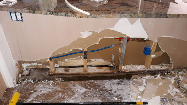 Best Flood damage cleanup  in Wellsville, MO