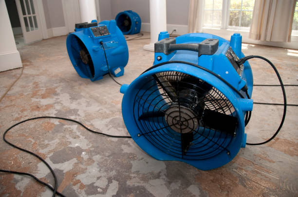 Best Basement water damage restoration  in Wellsville, MO