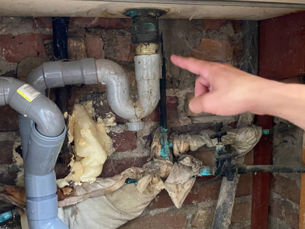 Best Professional water damage repair  in Wellsville, MO