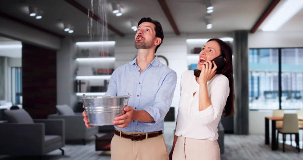 Best Mold removal after water damage  in Wellsville, MO